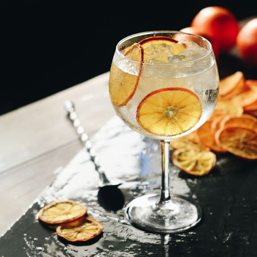 gintonic-taronja-deshidratada